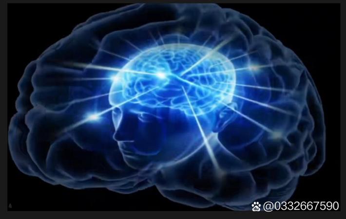 某明星夫妻离婚案财产分割细节曝光，涉及资产超5亿元